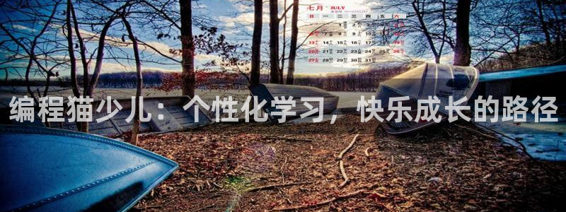 必一运动 b 体育素描版