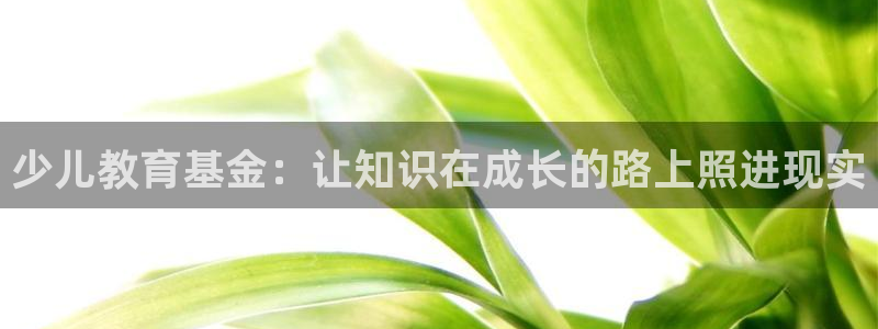 必一体育在线登录
