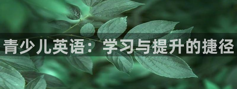 必一体育app官方正版下载