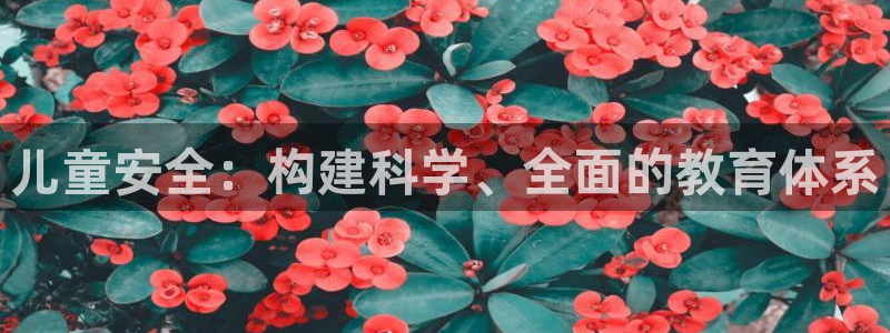 必一体育官方入口