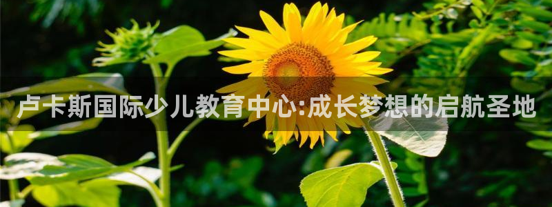 必一体育bsport下载