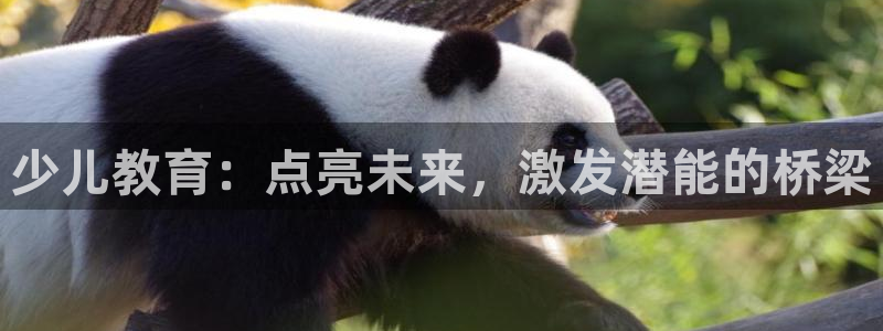 必一体育app官方下载