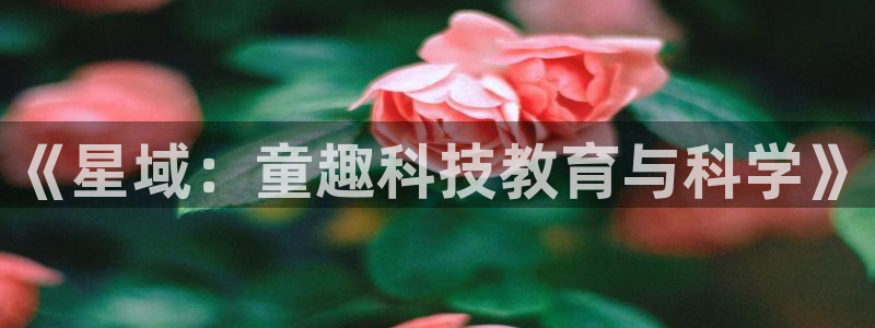 必一体育app下载