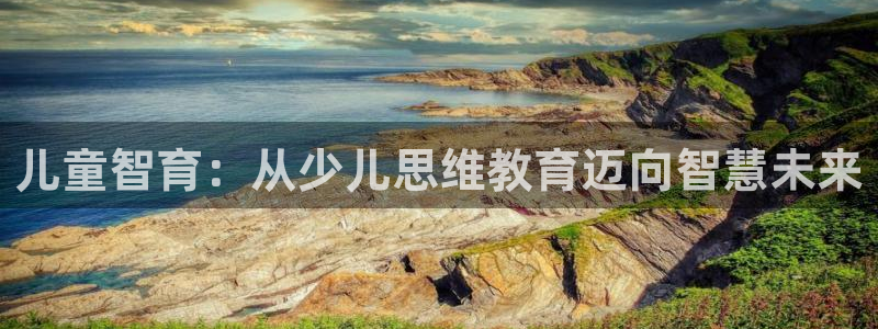 必一体育app官方正版下载