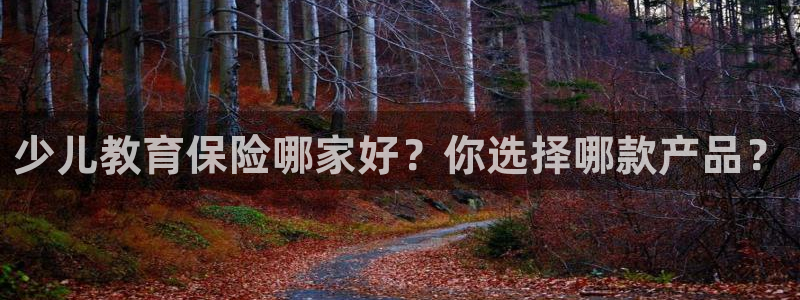 必一体育sportB体育