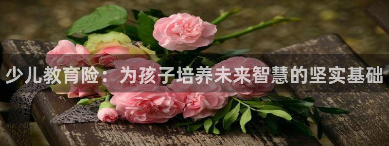 必一体育APP下载安装