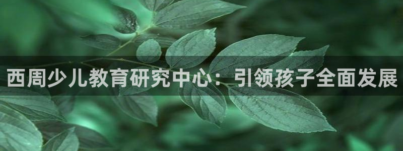 必一体育登录入口