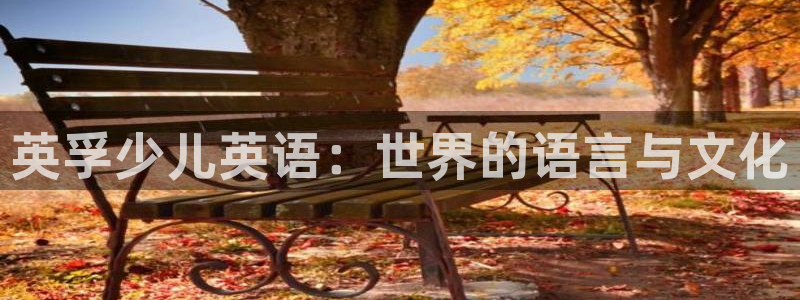 必一体育是哪里的台子