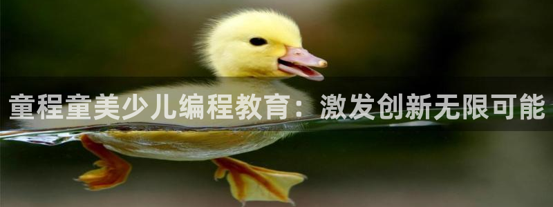 必一体育黑平台