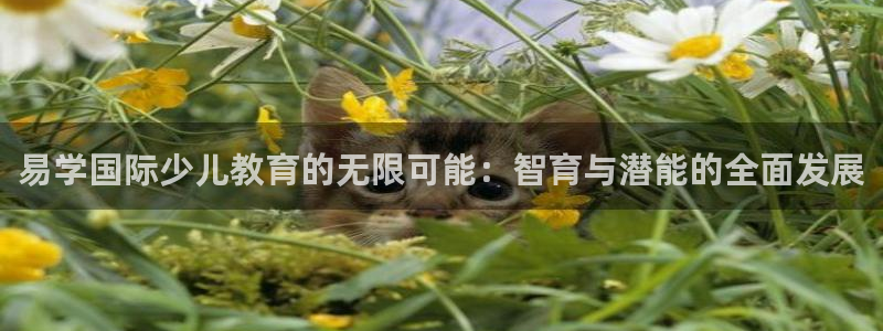 必一体育官网ios下载