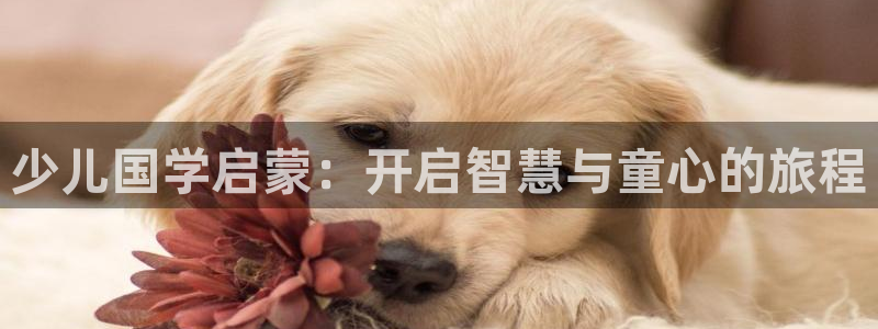 b体育官网下载入口app必一