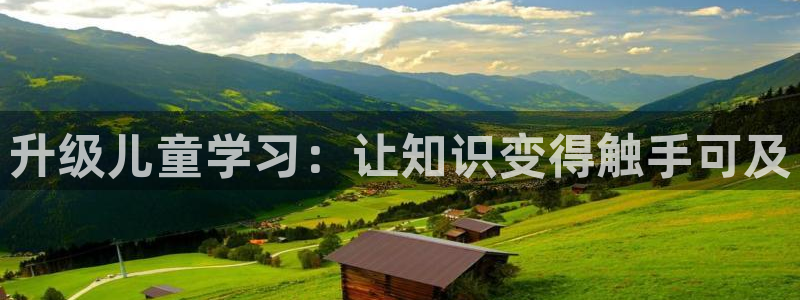 必一运动 b 体育素描版