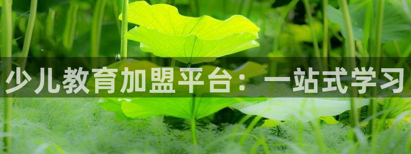 必一运动B-Sport官方网站入口