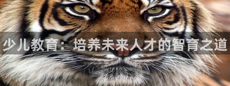 必一体育下载义