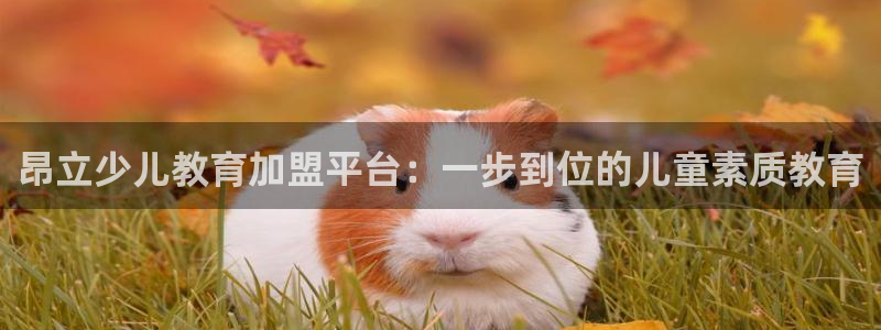 必一体育在线登录