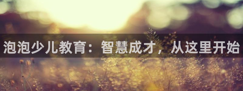 必一体育app官方