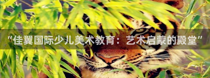 必一体育运动官网