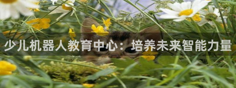 必一体育app下载