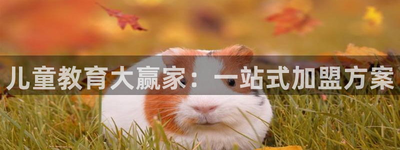 必一体育APP下载安装