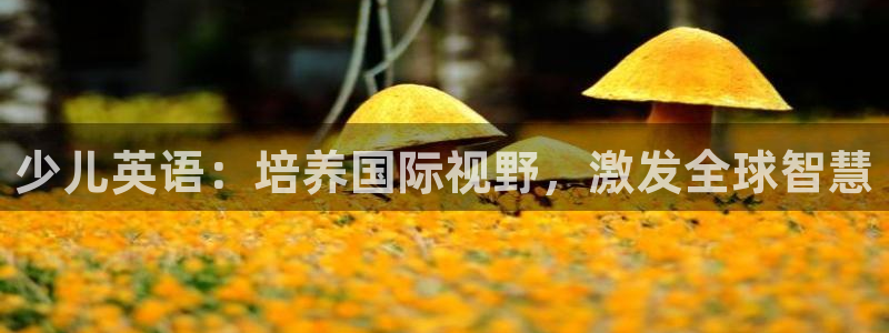 b体育官网下载入口app必一