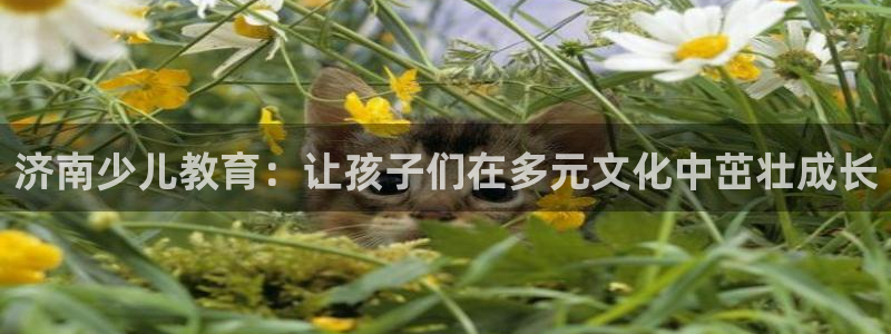 必一运动体育官网