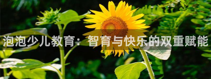 必一体育sport下载