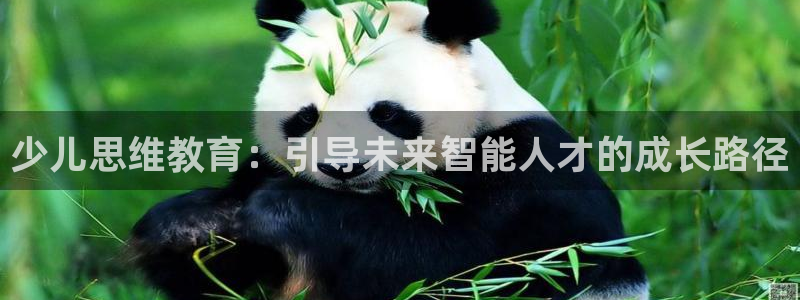 必一体育sport官网