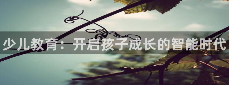 必一体育官网网站