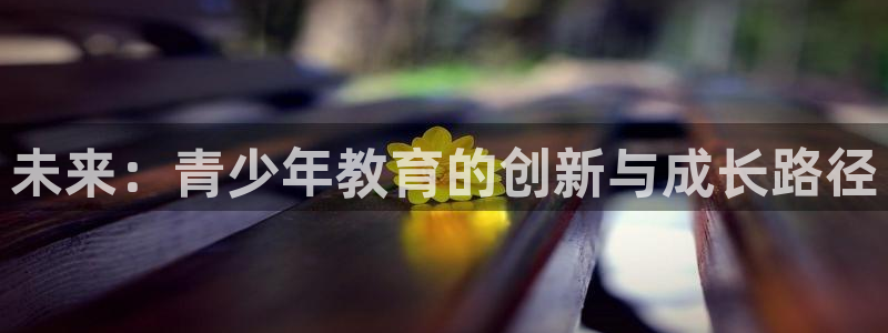 必一体育sport官网