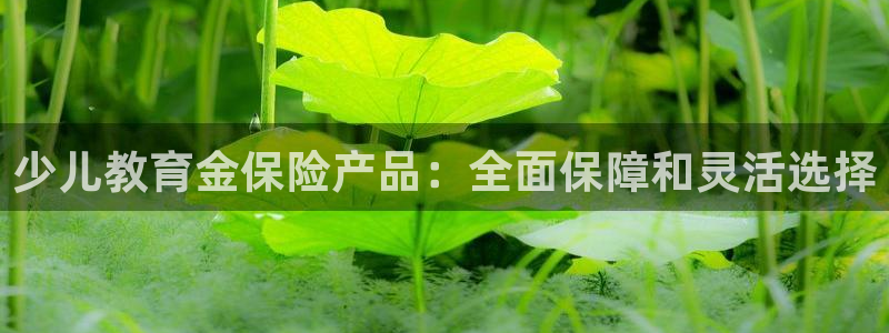 必一运动听的歌