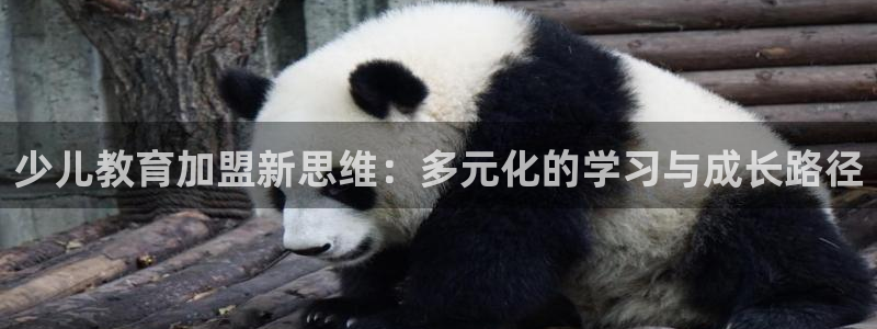 必一体育app官方网站