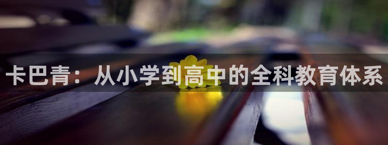 必一体育电子app