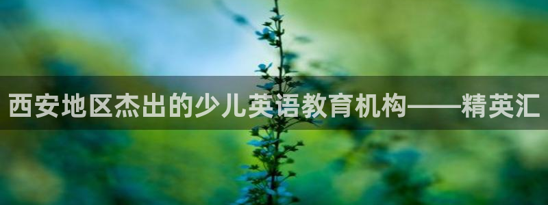 必一体育sport官方网站