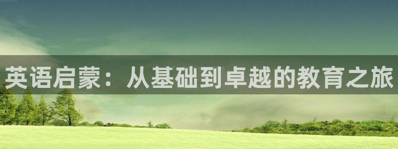 必一体育在哪下