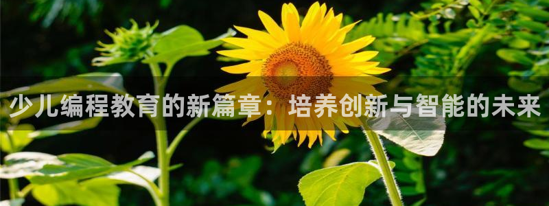 必一体育游戏玩法