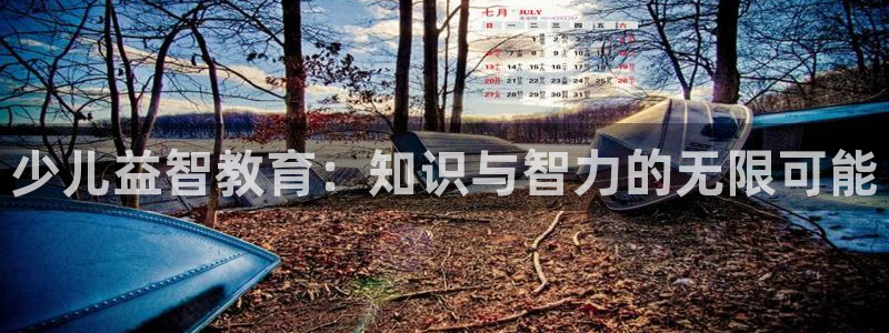 必一体育运动app