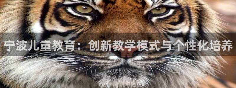 必一体育app官方正版下载