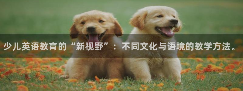 必一体育运动app下载