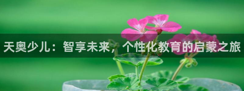 必一体育app下载装机吧