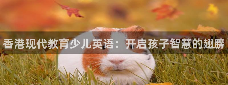 必一运动·(B-Sports)土豆