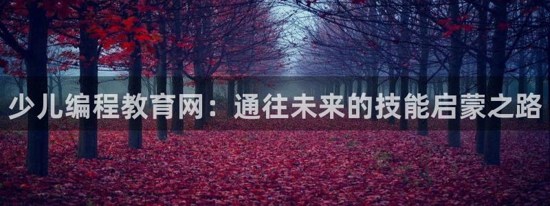 必一体育官方下载