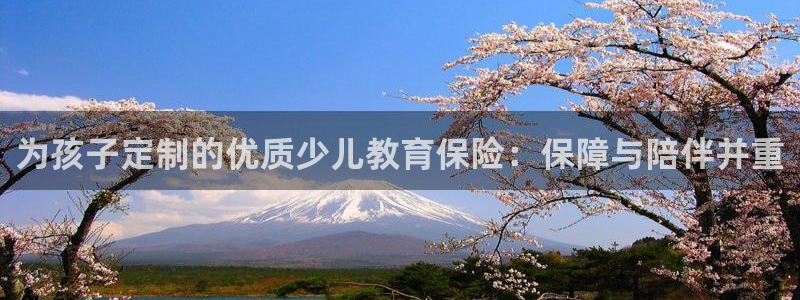 必一运动 b 体育素描版