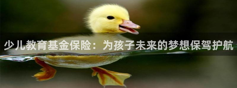 必一体育官网app
