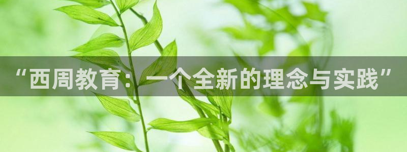 必一运动体育官网下载