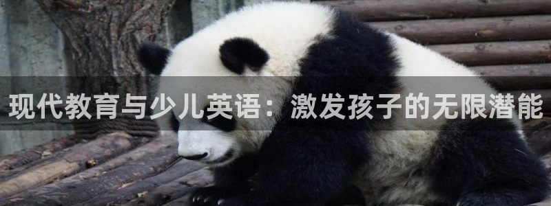 必一体育sportB体育