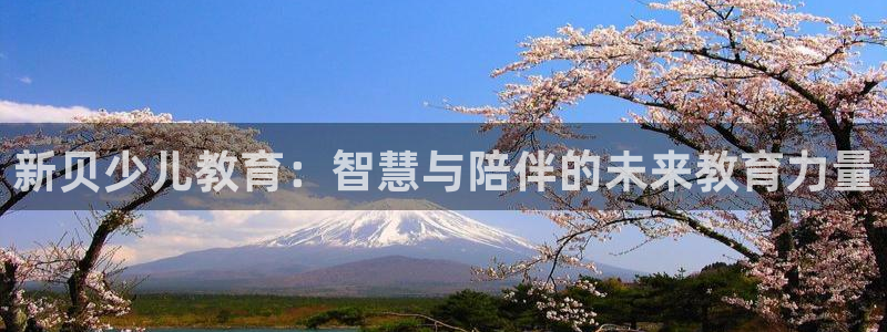 必一体育在线登陆