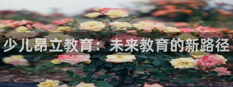 必一运动体育官网下载