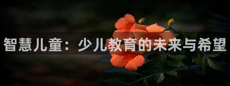 必一体育app官方网站