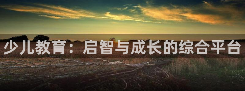 必一体育官方入口