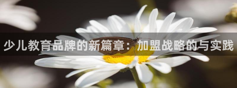 必一体育sport网页版